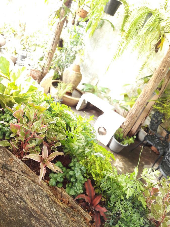 Muang Khon Guest House Nakhon Szi Thammarat Kültér fotó